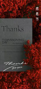 感恩节 