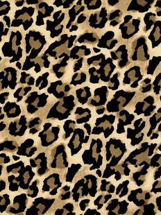 豹纹图案纹理背景