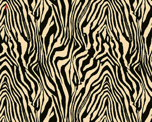 斑马纹图案纹理背景