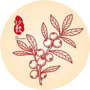 中式手绘沙棘图案设计