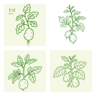 手绘植物土豆果实插画集合