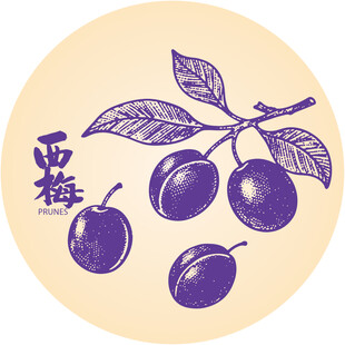 手绘李子西梅插画矢量图