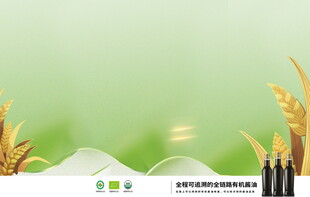 清新田园风绿色麦穗背景图