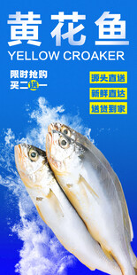 黄花鱼 