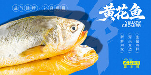 黄花鱼 