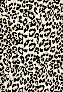 豹纹图案布料纹理