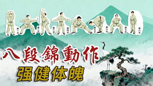 八段锦动作展示强身健体