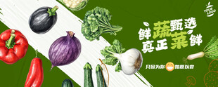 蔬菜海报