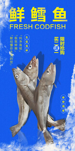 鲜鳕鱼