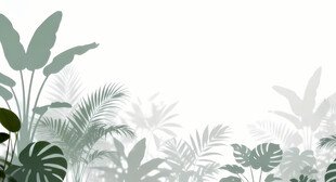 雾气磨砂膜效果绿植贴图