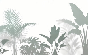 雾气磨砂膜效果绿植贴图