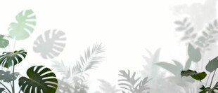 雾气磨砂膜效果绿植贴图