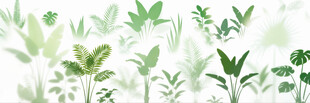 雾气磨砂膜效果绿植贴图