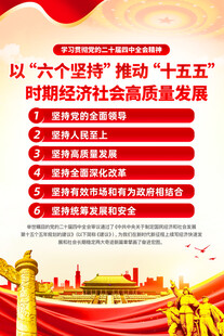 十五五时期的主要目标