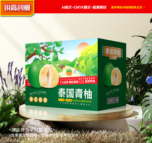 青柚包装 柚子礼盒