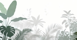 雾气磨砂膜效果绿植贴图