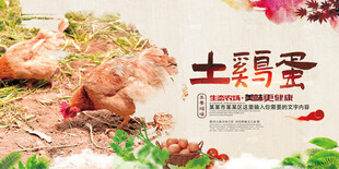 土鸡蛋