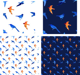 飞鸟图案多彩灵动的视觉盛宴