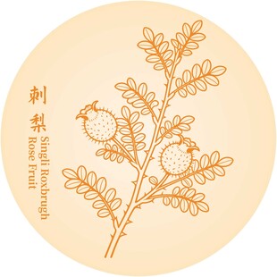 刺梨枝叶图案设计