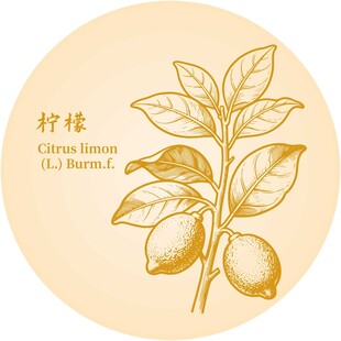 手绘柠檬植物图案