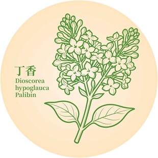 手绘丁香植物图案