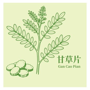 甘草片植物图示