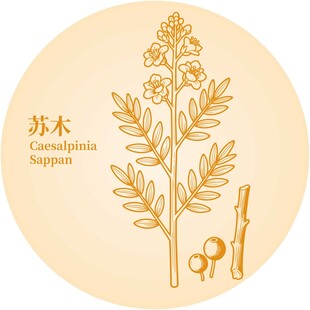 苏木植物图案设计元素