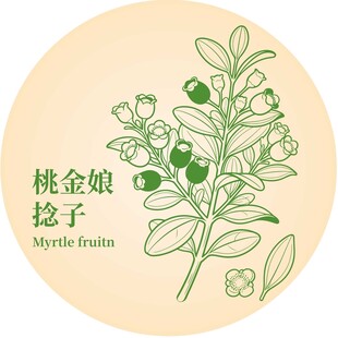 桃金娘捻子植物插画