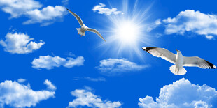 蓝天白云天花软膜吊顶