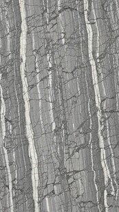 灰白纹理树皮特写