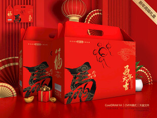 春节包装 年货礼盒
