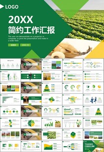 大豆种植产业工作总结年终汇报