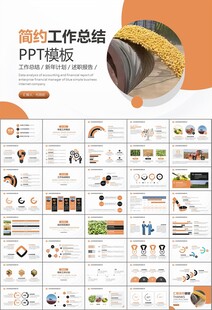 大豆种植产业工作总结年终汇报
