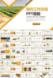 大豆种植产业工作总结年终汇报