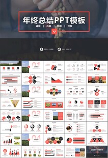 大豆种植产业工作总结年终汇报