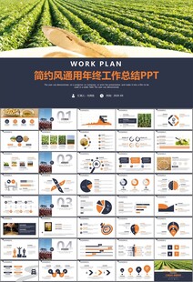 大豆种植产业工作总结年终汇报