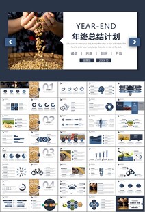 大豆种植产业工作总结年终汇报