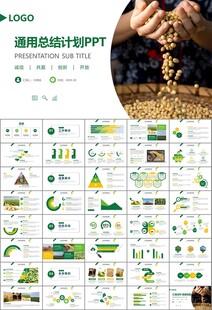 大豆种植产业工作总结年终汇报
