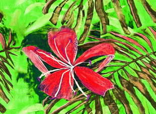 鲜艳红花配翠绿叶片