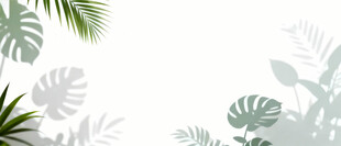 雾气磨砂膜效果绿植贴图