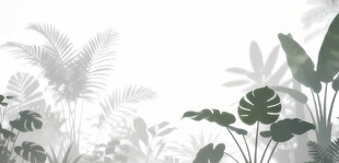 雾气磨砂膜效果绿植贴图