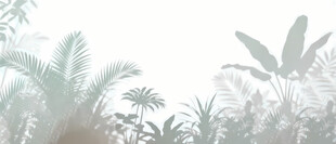 雾气磨砂膜效果绿植贴图