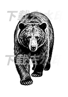 矢量手绘线描黑熊图