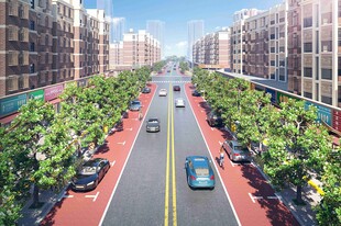 城市宽阔林荫街道景象