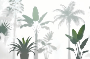 雾气磨砂膜效果绿植贴图