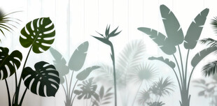 雾气磨砂膜效果绿植贴图