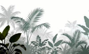 雾气磨砂膜效果绿植贴图