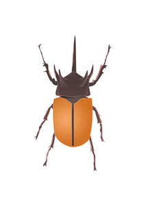 手绘免扣甲虫
