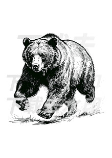 矢量手绘线描黑熊图