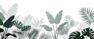 雾气磨砂膜效果绿植贴图